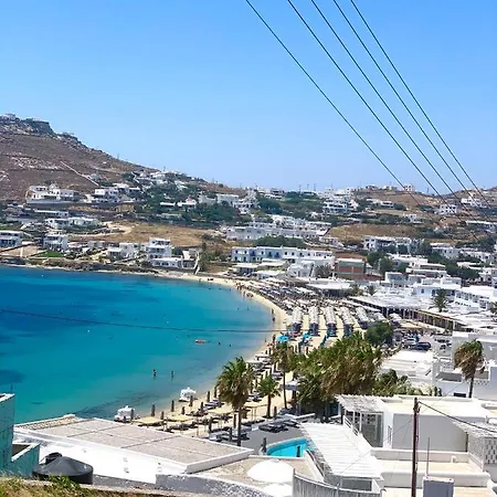 Dream View