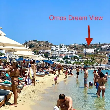 Dream View