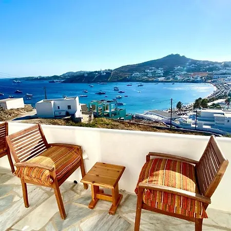 Dream View