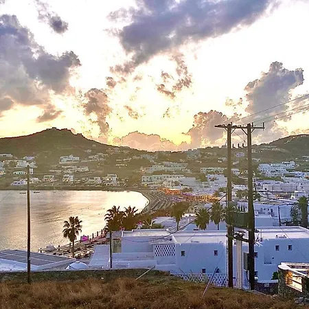 Dream View *